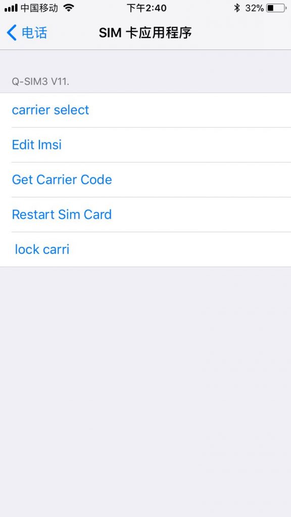 R SIM / Q SIM menu shown again