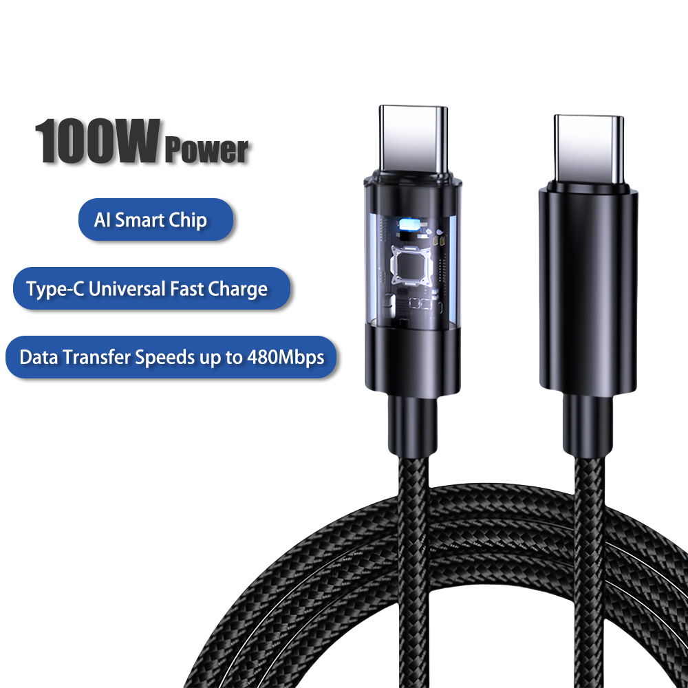 100W USB-C cables wholesale